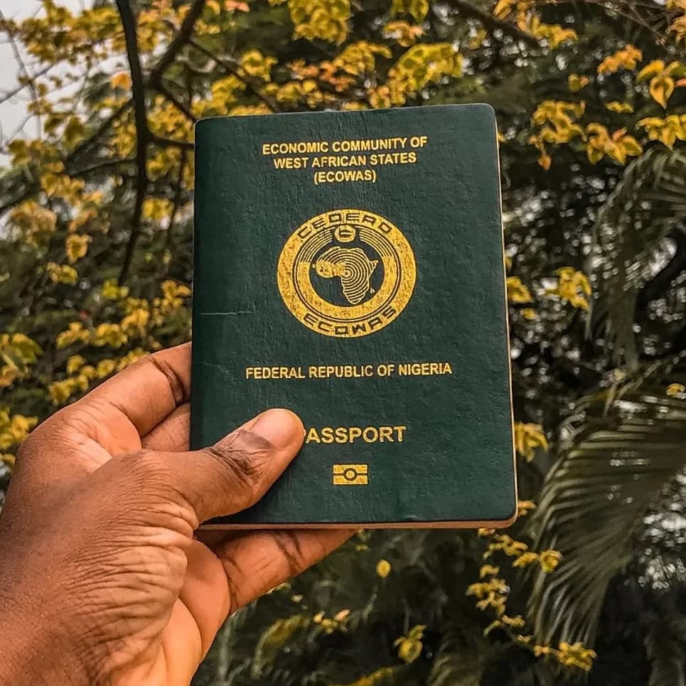 Nigerian Passport and Documentation Services